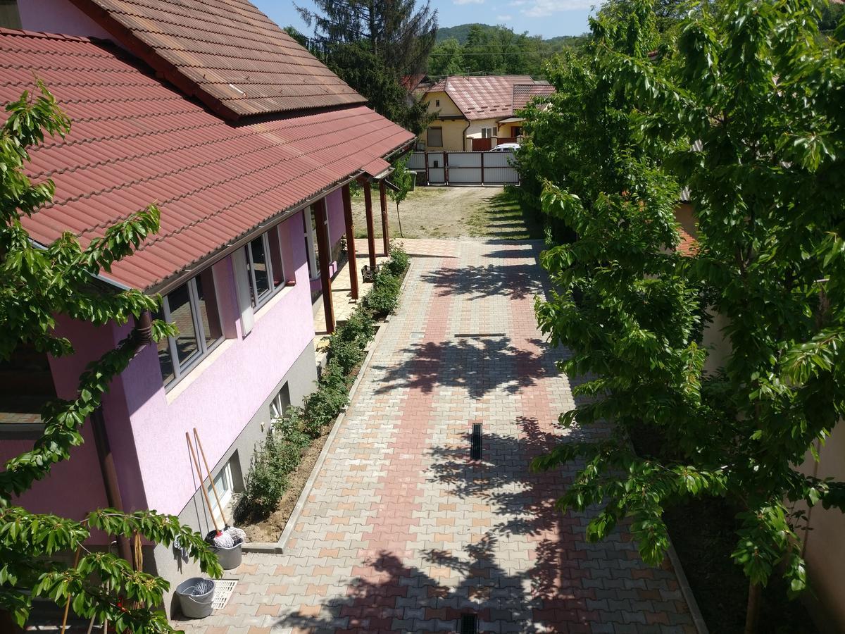 Отель Casa Cu Butoi Совата Экстерьер фото